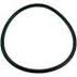 Sta-Rite System:3 S8M Tank O-Ring | 24850-0009